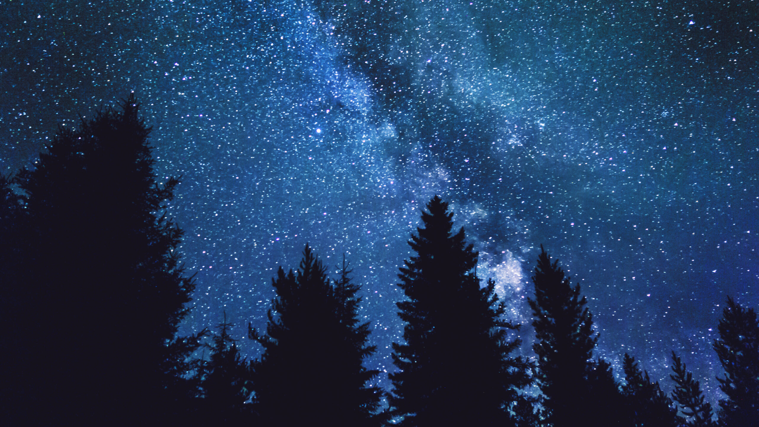 Bright Shining Stars And Milky Way