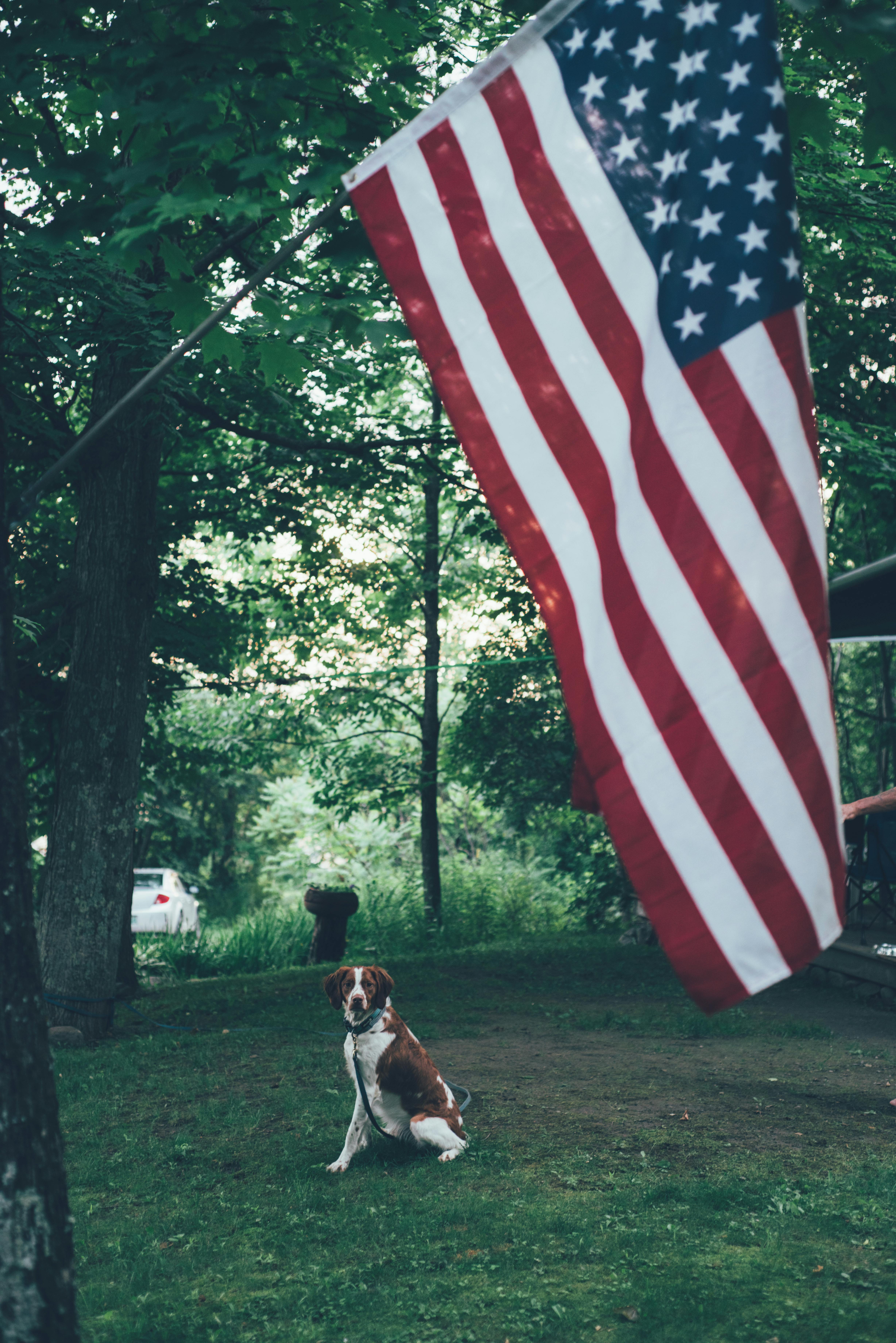 pexels-photo-2666153-2666153